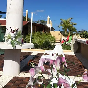 **** Hotel Boutique Dominikanische Republik